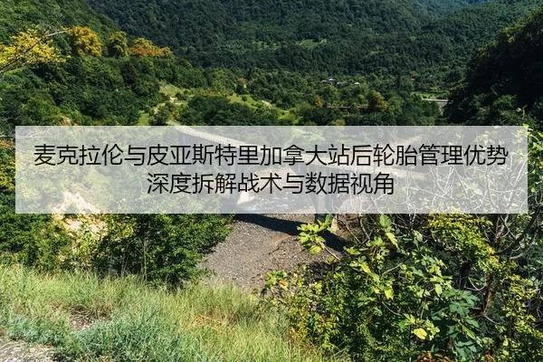 mai-ke-la-lun-yu-pi-ya-si-te-li-jia-na-da-zhan-hou-lun-tai-guan-li-you-shi-shen-du-chai-jie-zhan-shu-yu-shu-ju-shi-jiao-2-170.jpg