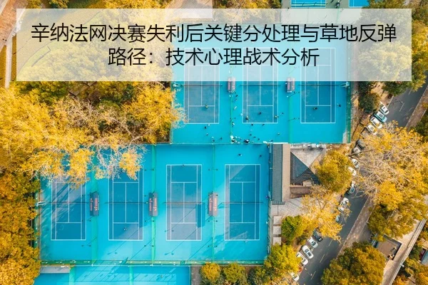 辛纳法网决赛失利后关键分处理与草地反弹路径：技术心理战术分析